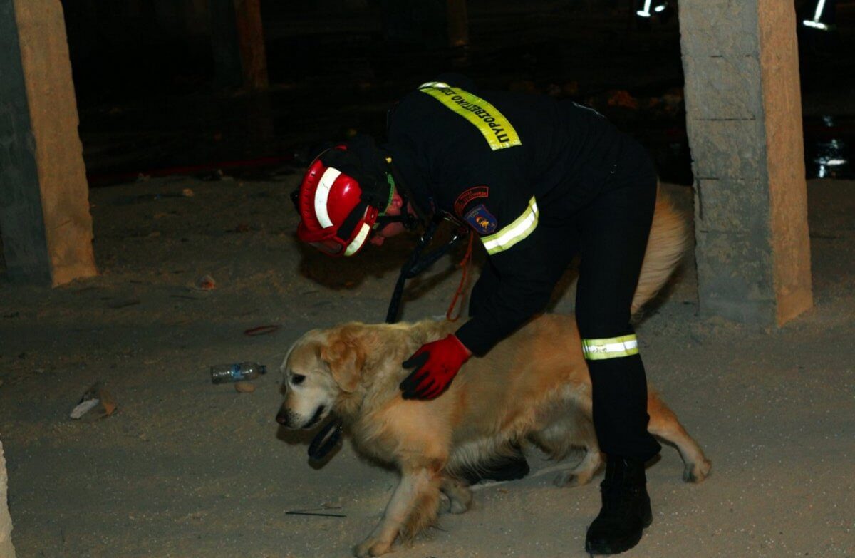 Φωκίδα: Ο σκύλος της 7ης ΕΜΑΚ βρήκε ηλικιωμένο που είχε εξαφανιστεί