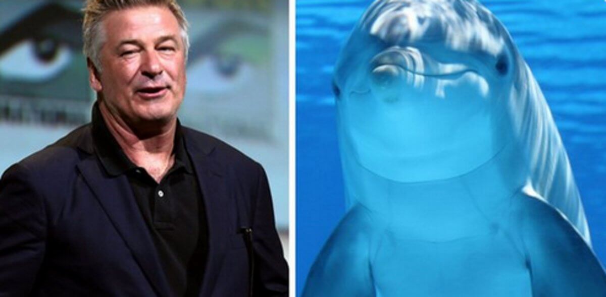 Άλεκ Μπάλντγουιν: Όχι άλλα σόου με δελφίνια της SeaWorld – Video