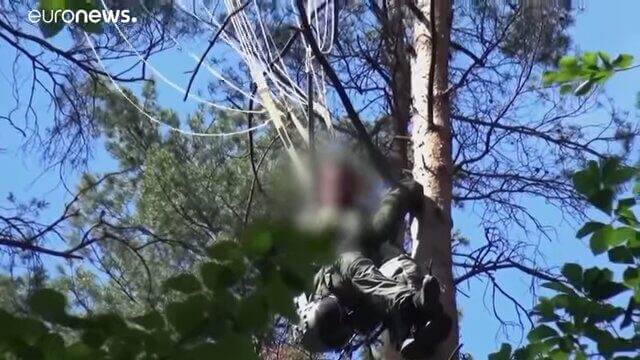 Η στιγμή που οι διασώστες εντοπίζουν τον πιλότο του Eurofighter πάνω στην κορυφή ενός δέντρου! video