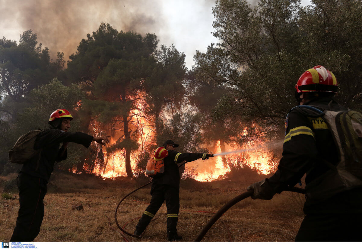 Πάτρα: Συνελήφθη για τη φωτιά στην περιοχή Τσαμέικα – Στον εισαγγελέα ο 23χρονος!