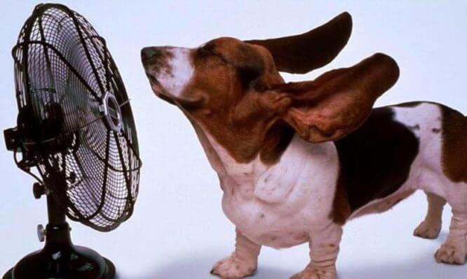 Πως να κατασκευάσετε το δικό σας υγιεινό air condition