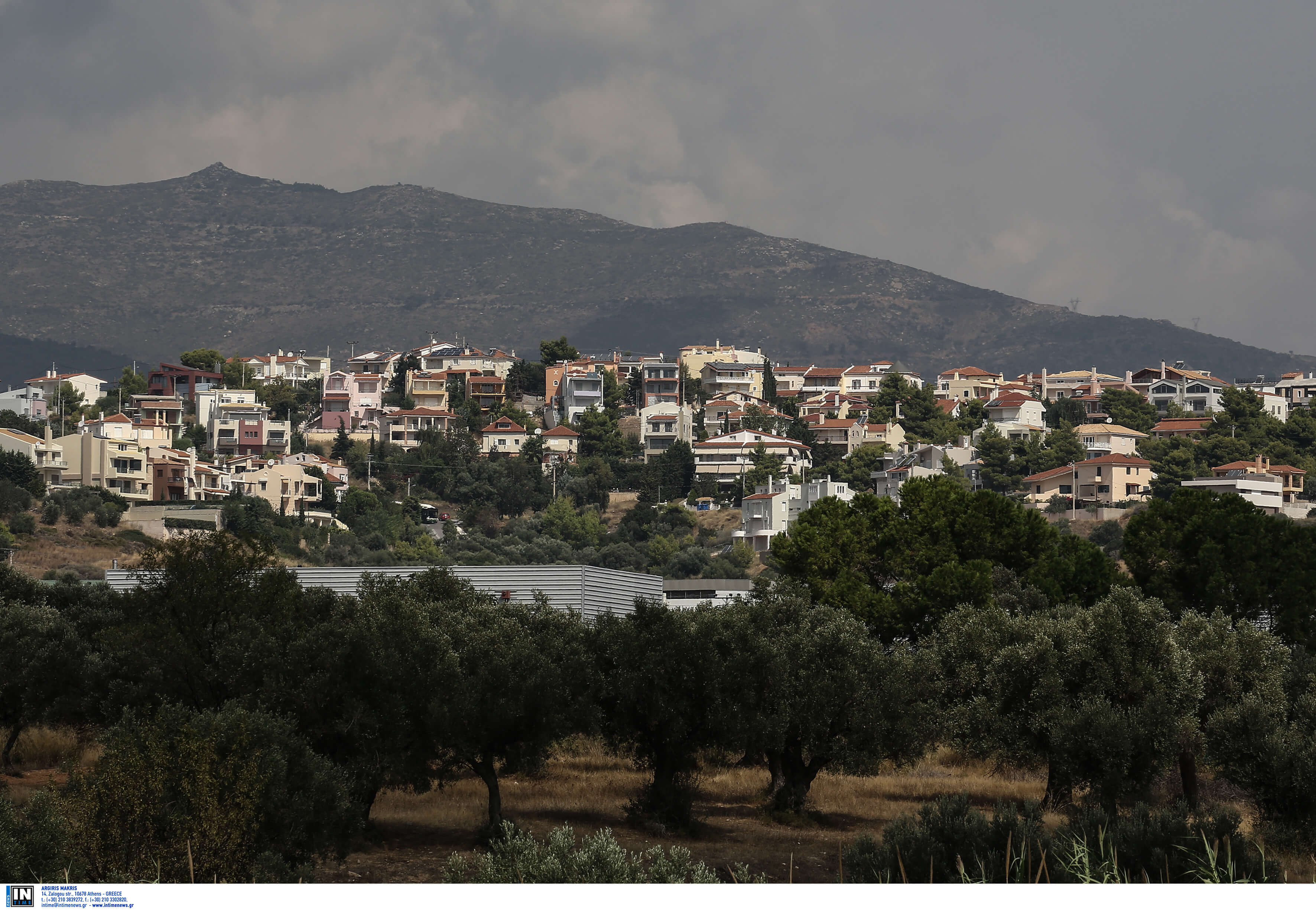 Αυτό είναι το νομοσχέδιο για τους δασικούς χάρτες – Αναστολή κατεδάφισης για 25 χρόνια και εκπτώσεις