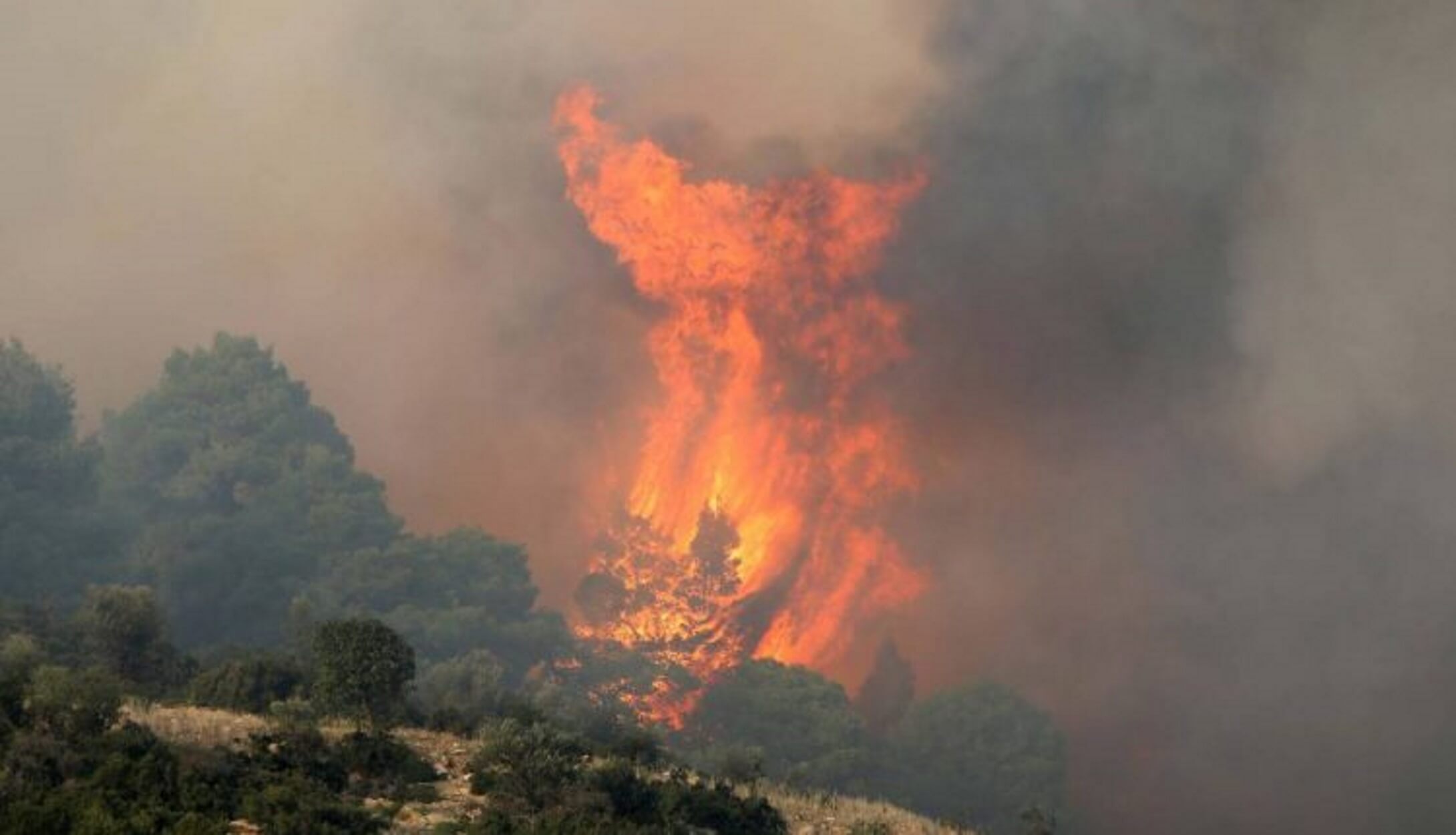 Φωτιά στη Βουρβουρού Χαλκιδικής – Ξέσπασε από κεραυνό!