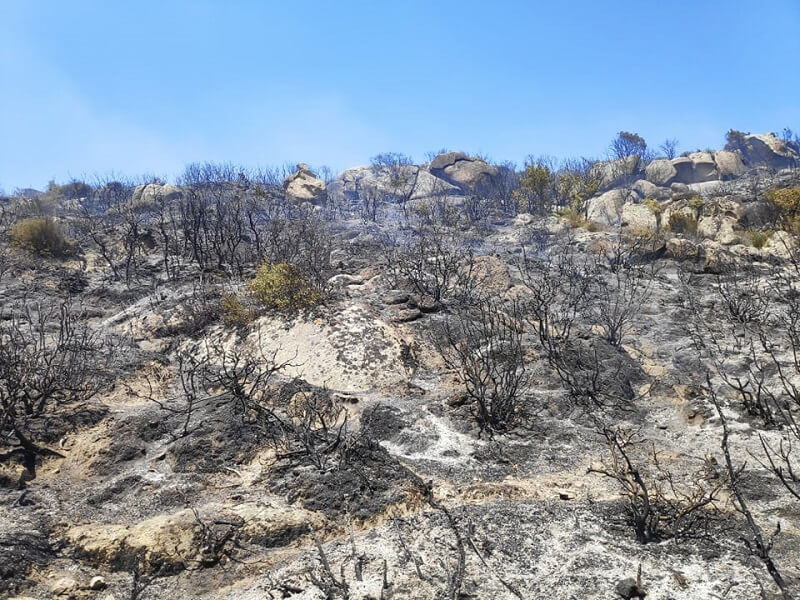 Φωτιά τώρα στο Καλαμίτσι Χαλκιδικής