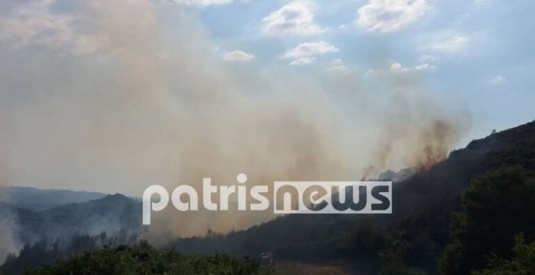 Ηλεία: Στάχτη έγιναν 15 στρέμματα δασικής έκτασης στο Μαζαράκι Πηνείας