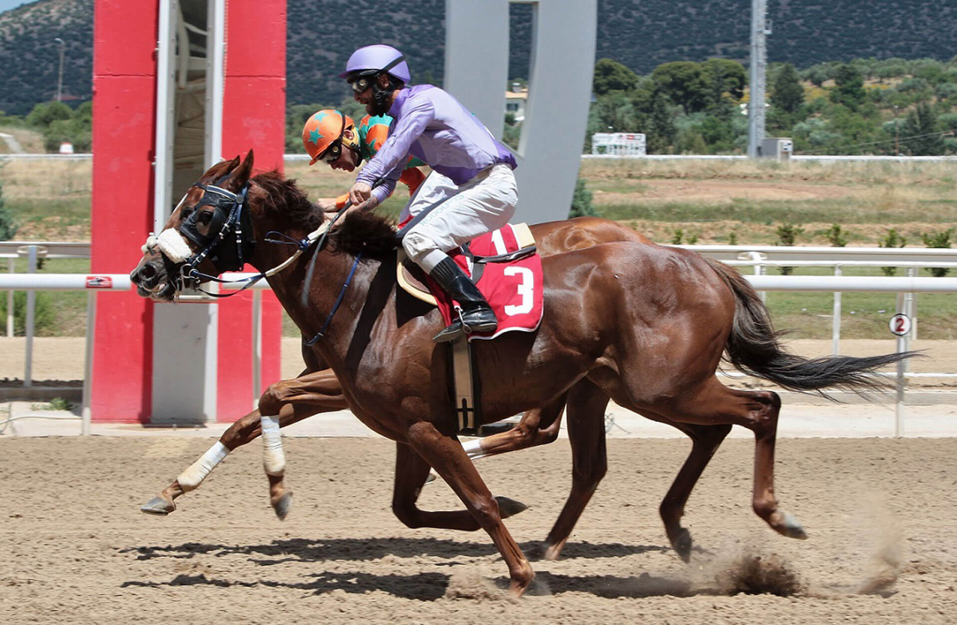 Markopoulo Park: Μοναδικό θέαμα με εντυπωσιακά photo finish