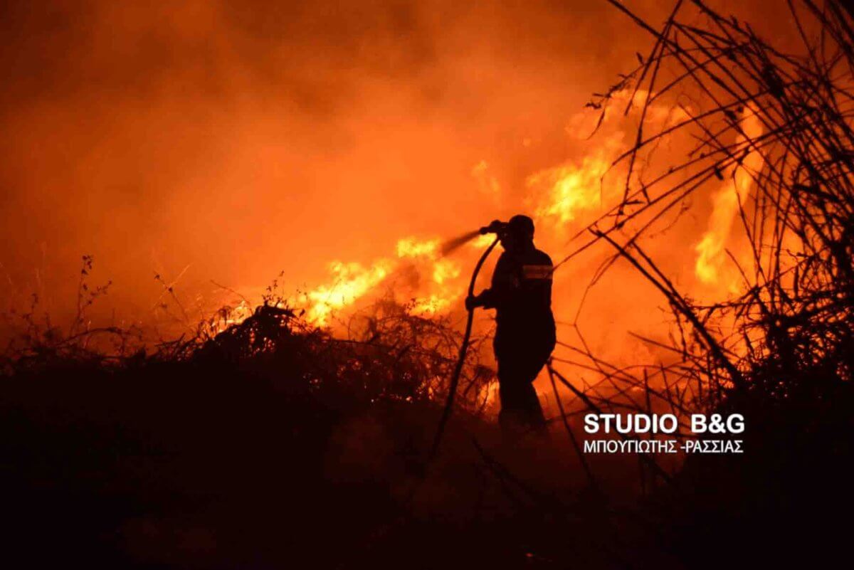 Αργολίδα: Πυρκαγιά τη νύχτα στη Νέα Κίο
