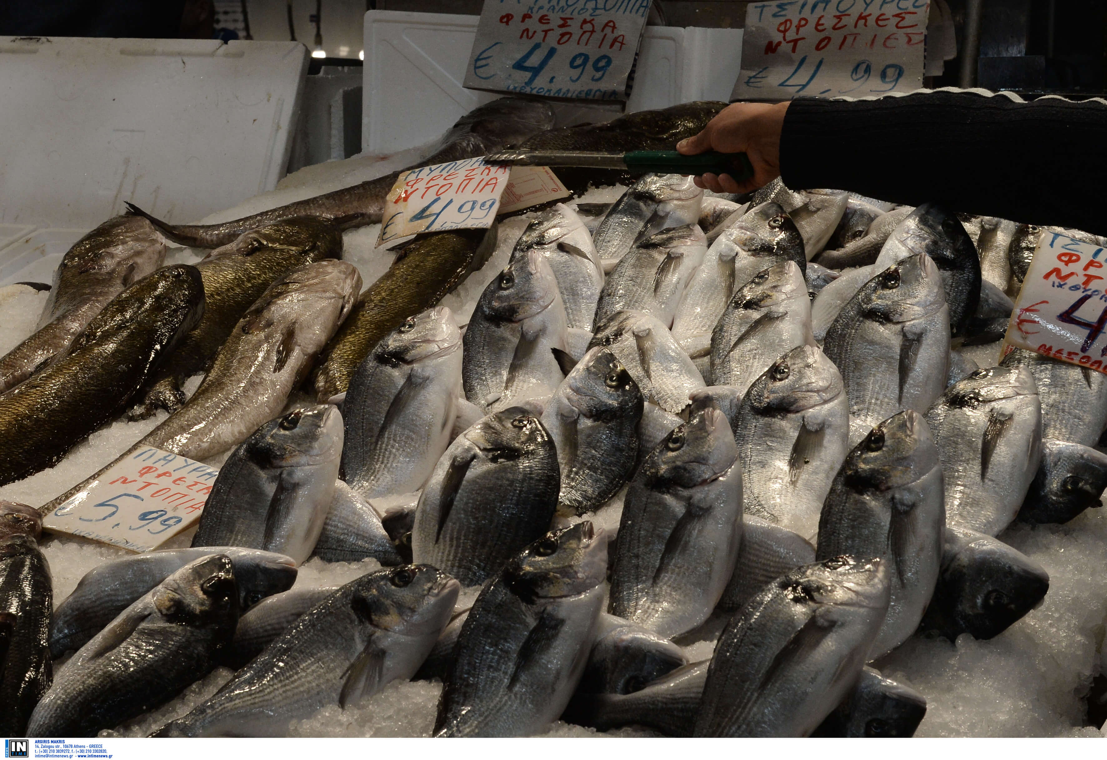 Πειραιάς: Κατασχέθηκαν ακατάλληλα ψάρια σε λαϊκή αγορά