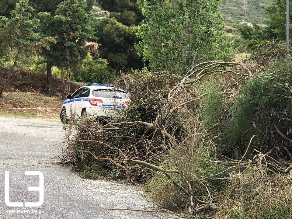 Θεσσαλονίκη: Εδώ βρέθηκε το ακέφαλο πτώμα – Οι πρώτες εκτιμήσεις των αρχών [video, pics]