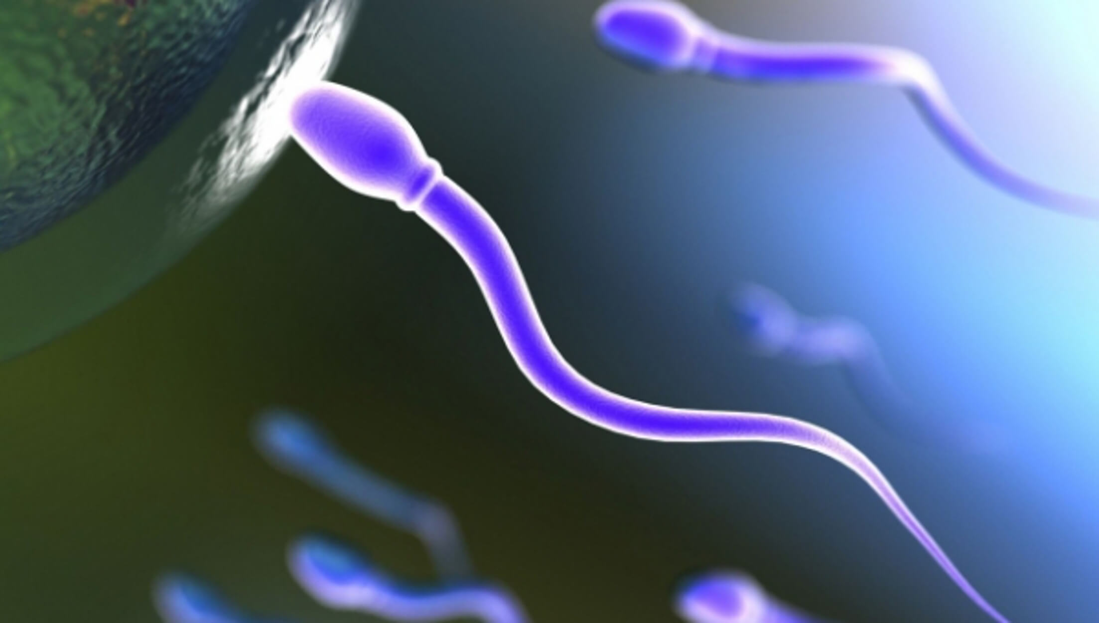 Κορονοϊός: Μεταδίδεται με το σπέρμα; Μελέτη δίνει την απάντηση