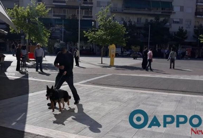 Καλαμάτα: Κακόγουστη φάρσα το τηλεφώνημα για βόμβα σε τράπεζα – Έλεγχος από σκύλο της αστυνομίας!