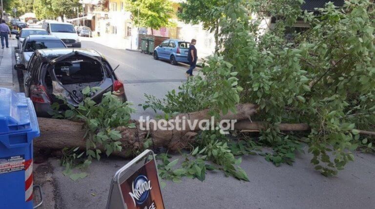 Θεσσαλονίκη: Πτώση δέντρου σε αυτοκίνητο έκοψε δρόμο στο Κορδελιό στα δύο [pics]