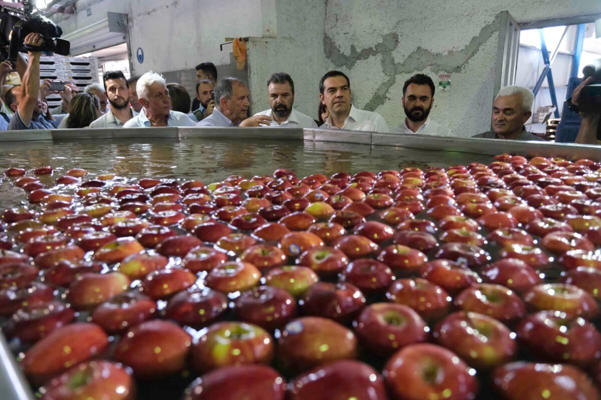 Ο Τσίπρας και τα… μήλα – Επίσκεψη στο συνεταιρισμό του Πηλίου