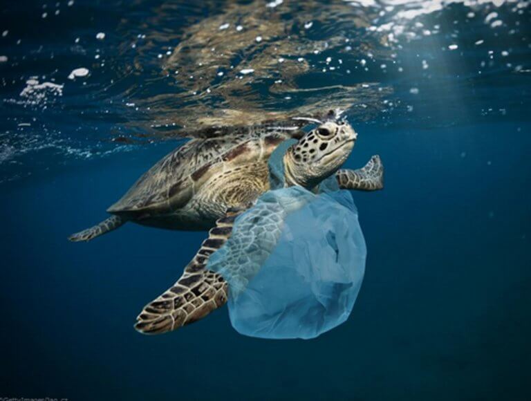 230.000 τόνοι πλαστικά πέφτουν κάθε χρόνο στην Μεσόγειο! Ποιες χώρες ρυπαίνουν πιο πολύ
