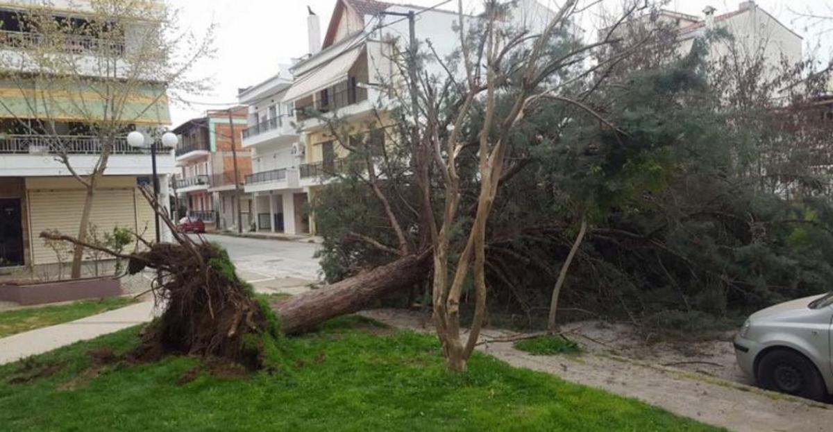 Στη μισή Λάρισα έχει καύσωνα και στην άλλη μισή βρέχει και φυσάει!