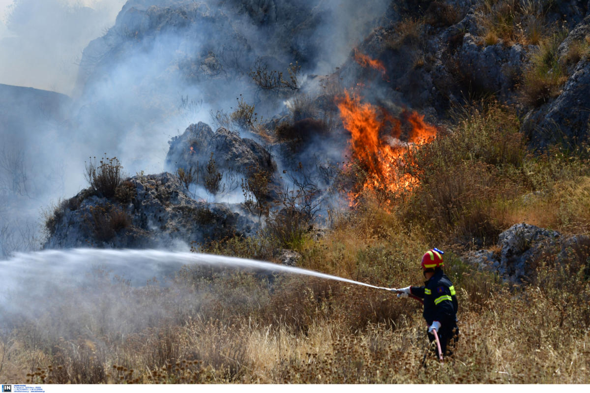 Υπό μερικό έλεγχο η φωτιά στην Κεφαλονιά