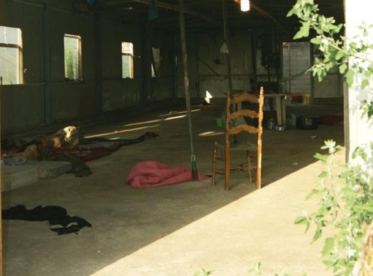 Άρτα: Βασανιστήρια σε αυτό το πτηνοτροφείο – Κόλαση με ξύλο και απειλές σε νύχτες ατελείωτες [pics]