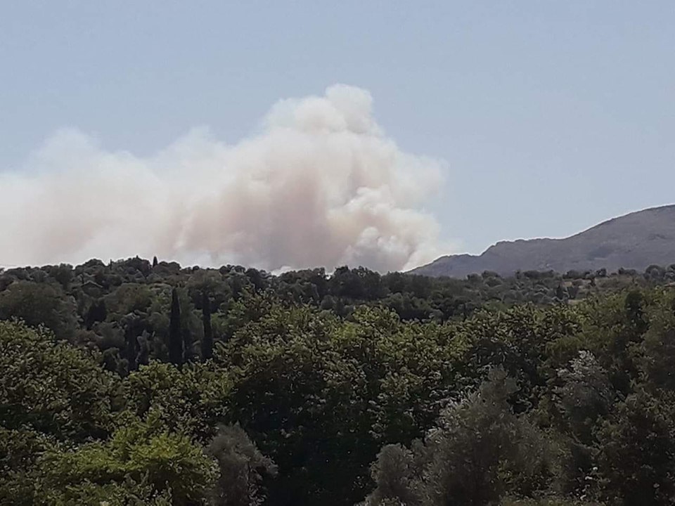 Μεγάλη φωτιά στην Εύβοια – Συναγερμός στην Πυροσβεστική! [pics]