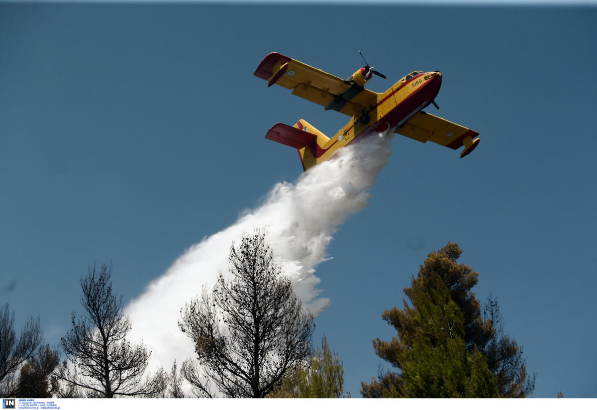 Λευκάδα: Φωτιά στην τουριστική περιοχή Καλαμίτσι – Μάχη των πυροσβεστών στο φλεγόμενο δάσος!
