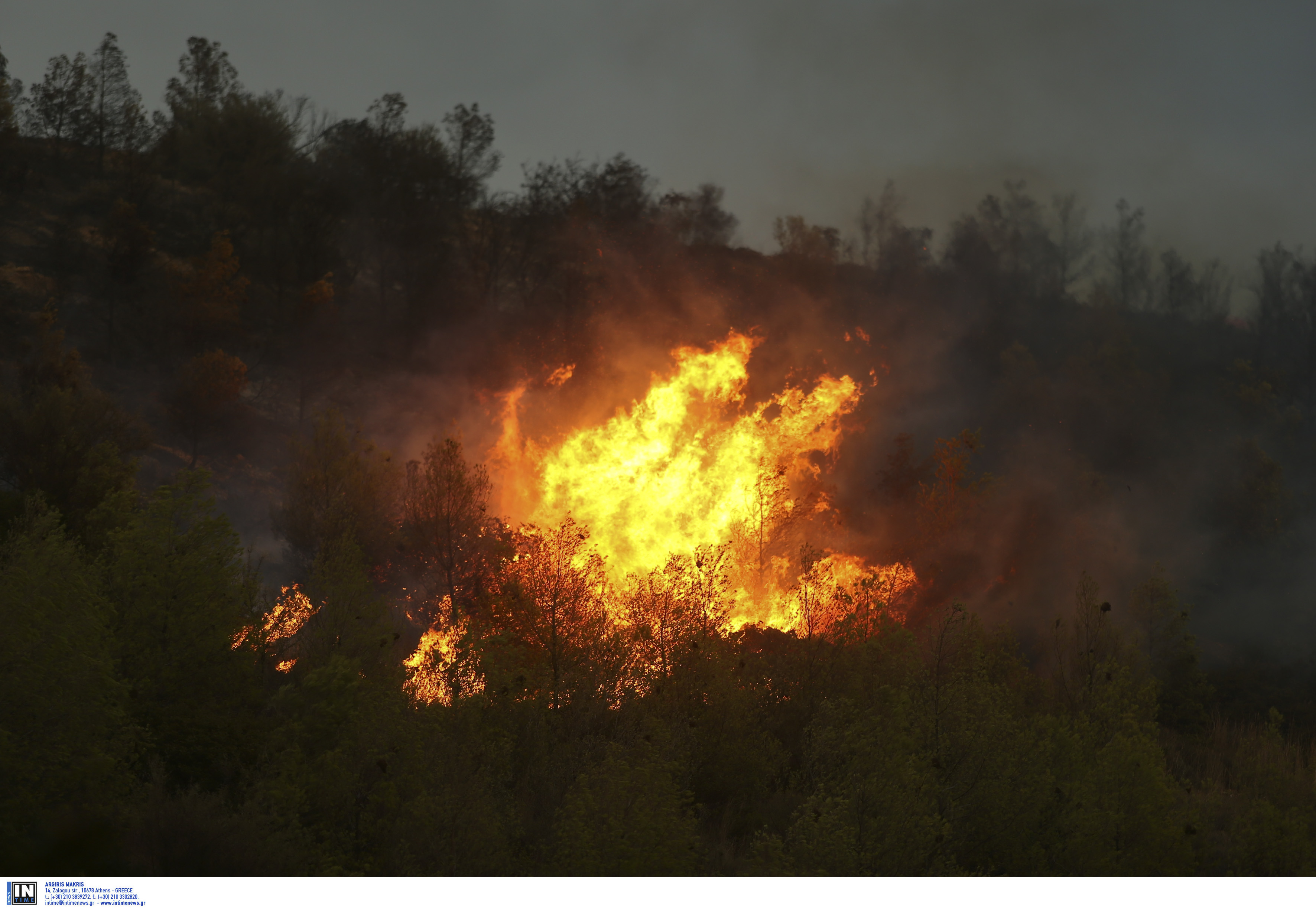 Δύσκολη η νύχτα με την φωτιά στον Κιθαιρώνα – Ενισχύθηκαν οι δυνάμεις της πυροσβεστικής