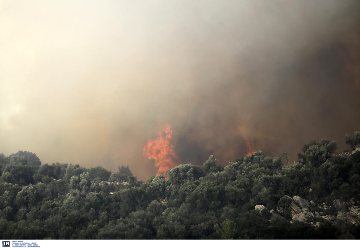 Ρόδος: Μεγάλη φωτιά στο χωριό Μαλώνα – Πυροσβέστες και εθελοντές στο μέτωπο της πυρκαγιάς!