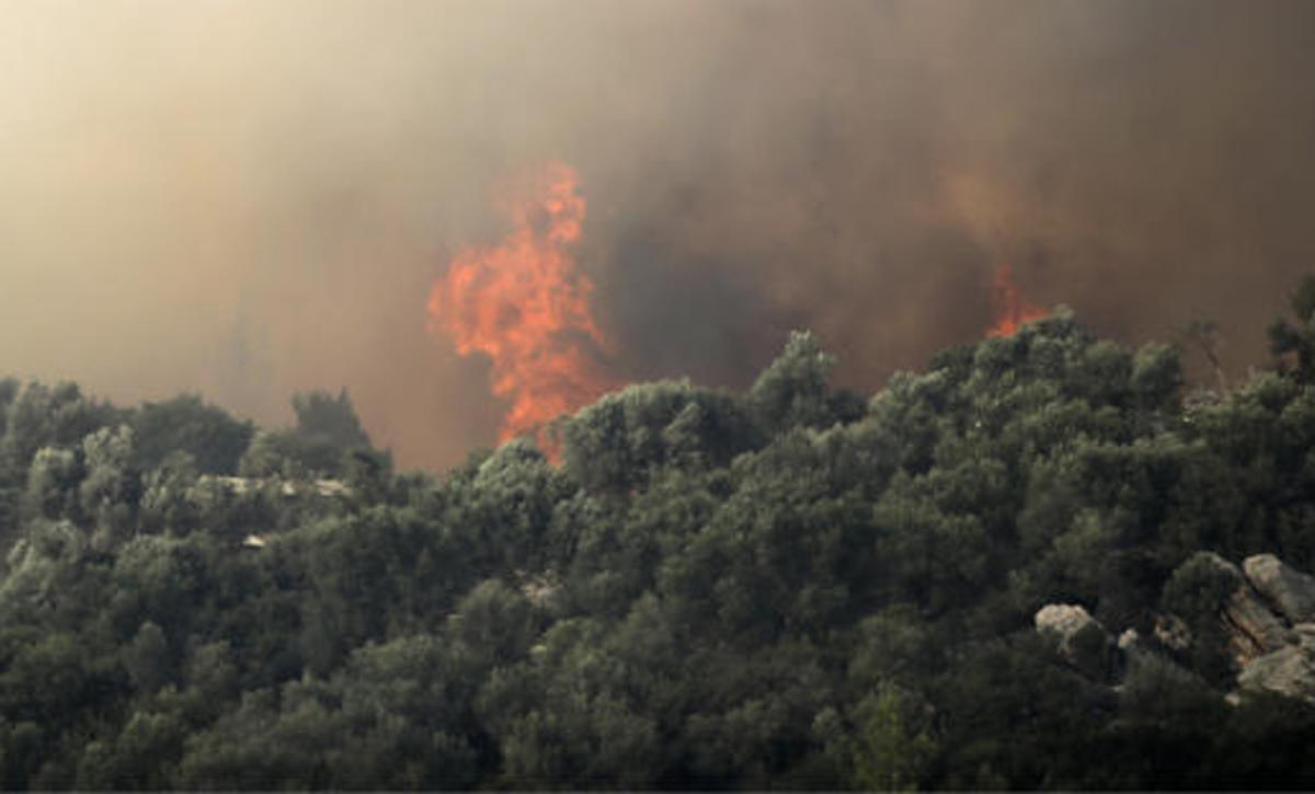 Μαίνεται η φωτιά στον Κιθαιρώνα – Μεγάλη κινητοποίηση της Πυροσβεστικής