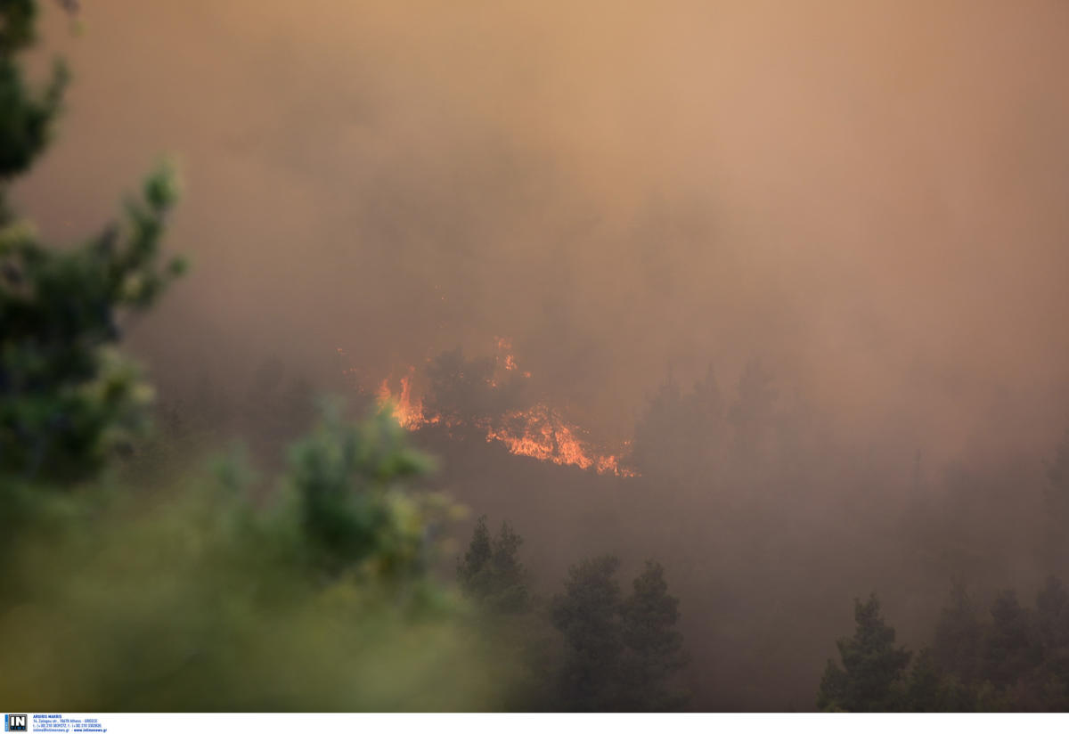 Κρήτη: Υπό πλήρη έλεγχο η φωτιά στην Τύλισο – Οι προσπάθειες των πυροσβεστών!