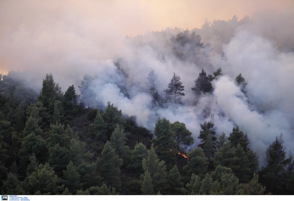 Φωτιά τώρα σε περιοχή της Λάρισας