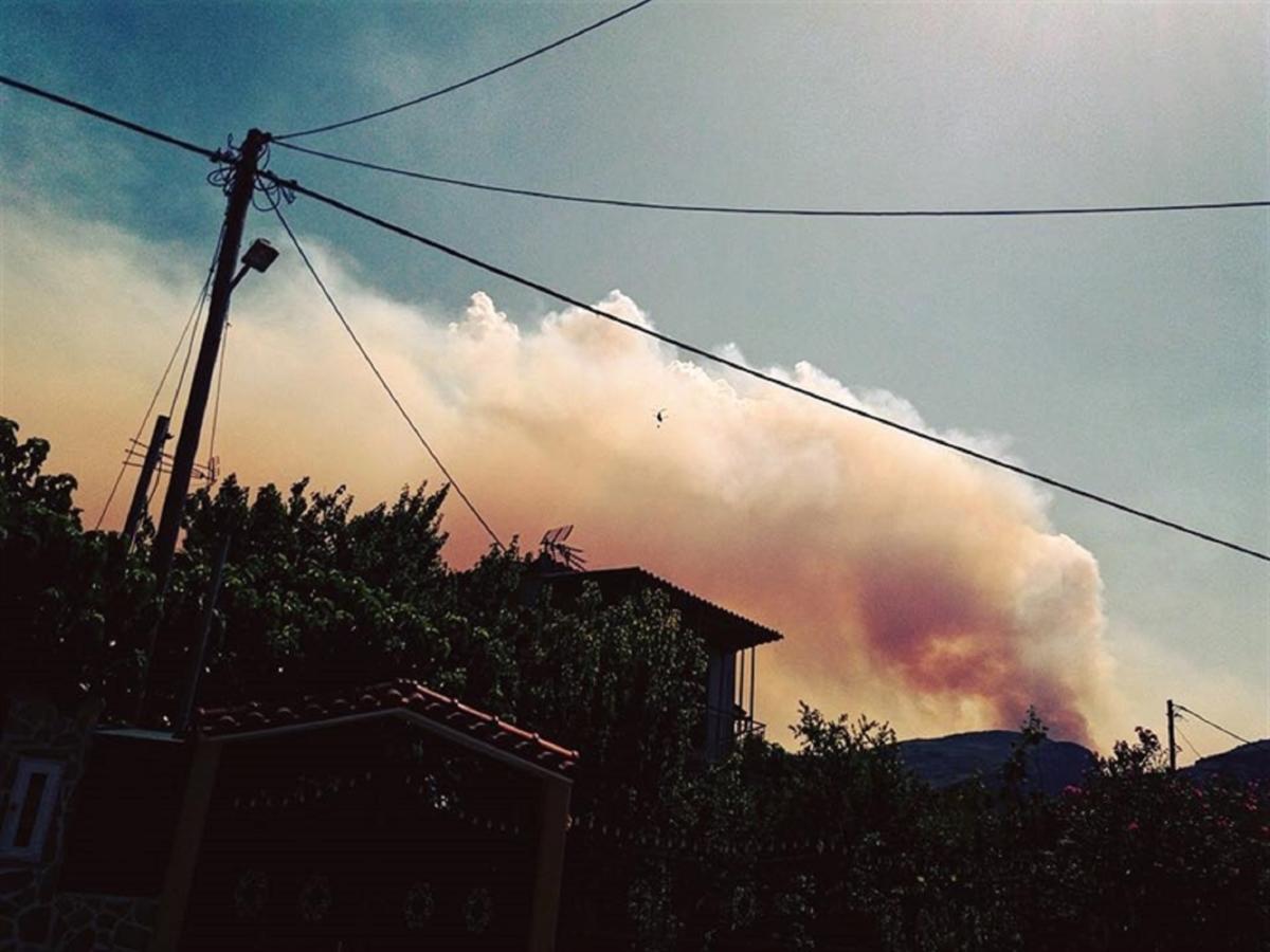 Εύβοια – Φωτιά: Μάχη με φλόγες και ανέμους – Ασφυκτική ατμόσφαιρα, σε απόγνωση οι κάτοικοι