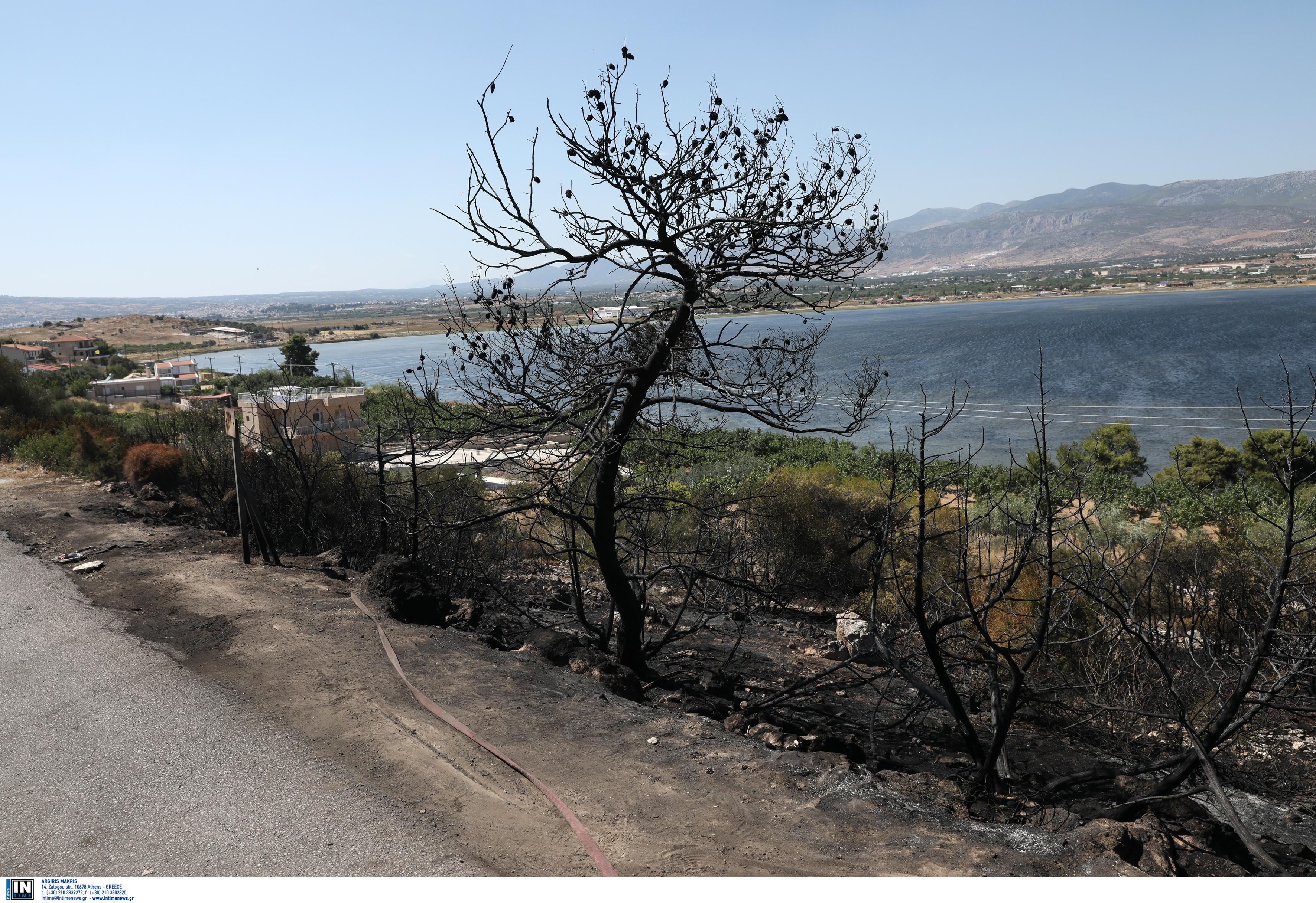 Φωτιά στα Μέγαρα: Τέθηκε υπό μερικό έλεγχο