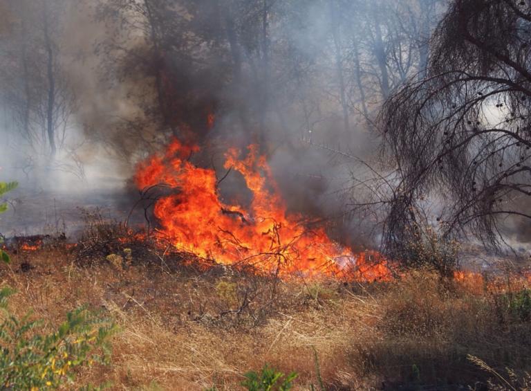 Λαχτάρησαν πάλι με την φωτιά στην Ραφήνα οι κάτοικοι της Ανατολικής Αττικής - Οι πυροσβέστες έπεσαν πάνω στην πυρκαγιά και την έσβησαν! [pics, vid]