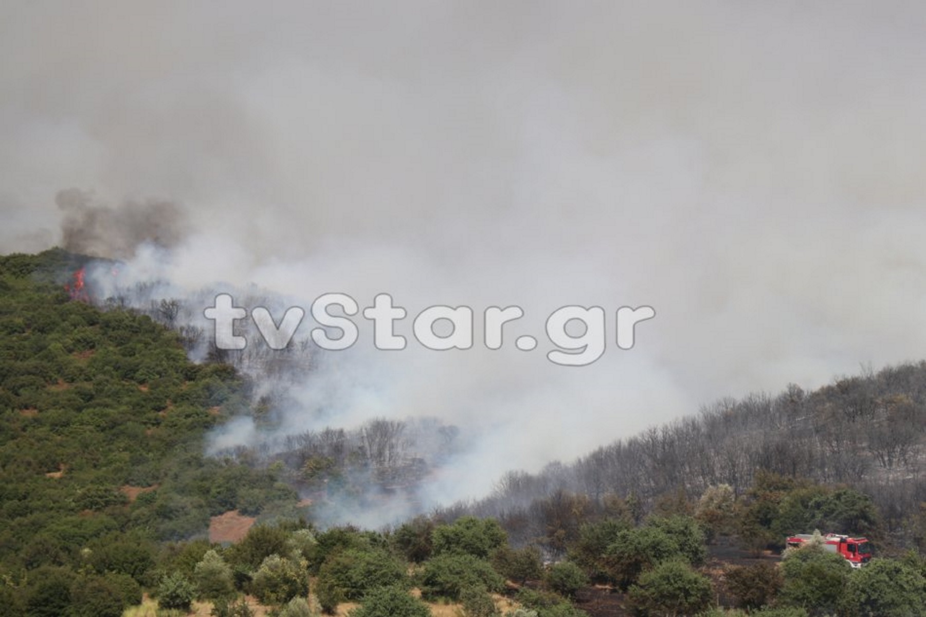 Φωτιά στη Φθιώτιδα: Ενισχύεται η δύναμη της Πυροσβεστικής