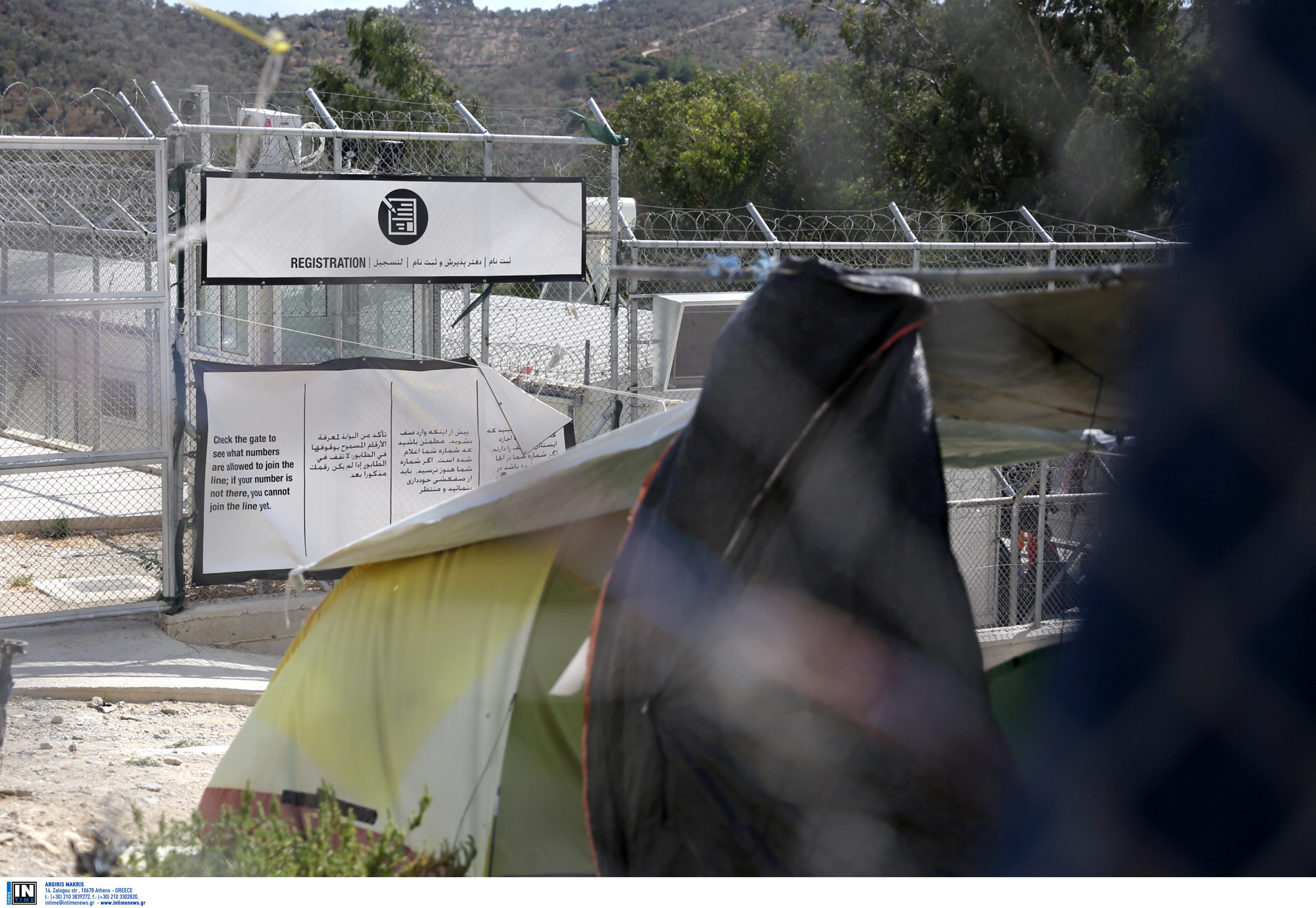 Οινόφυτα: Οκτώ τραυματίες από πτώση δέντρου στο hot spot