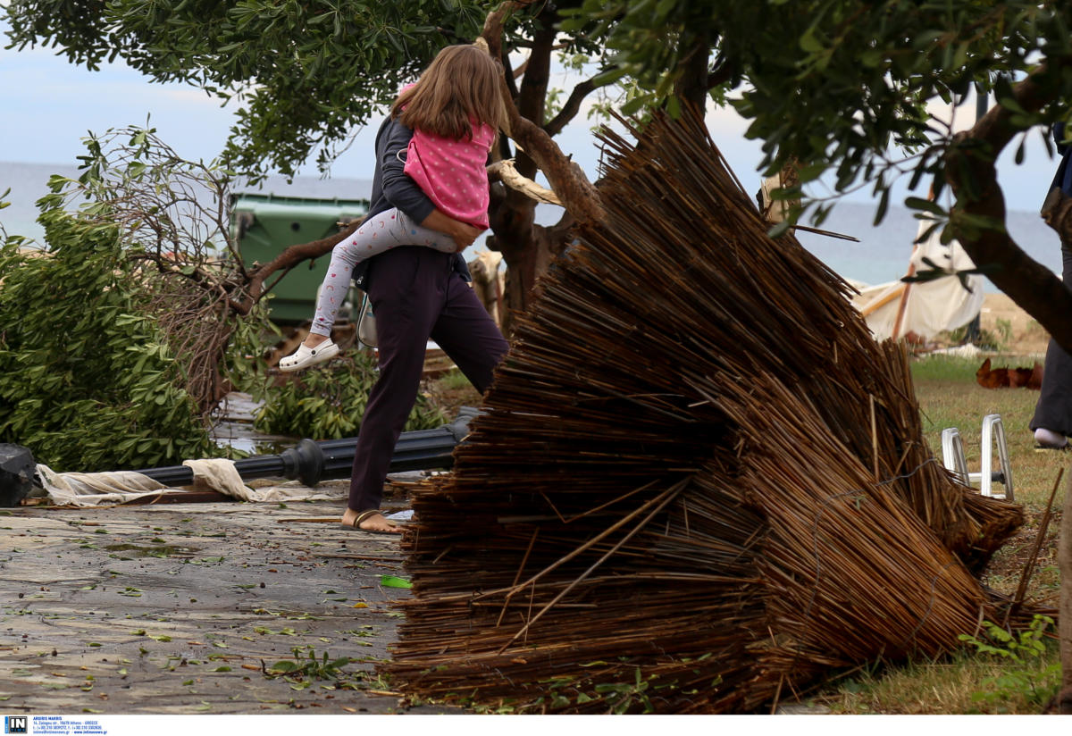 Γιάννενα: Σαρωτική κακοκαιρία με πτώσεις δέντρων και διακοπές ρεύματος – Μπουρίνι με θυελλώδεις ανέμους!