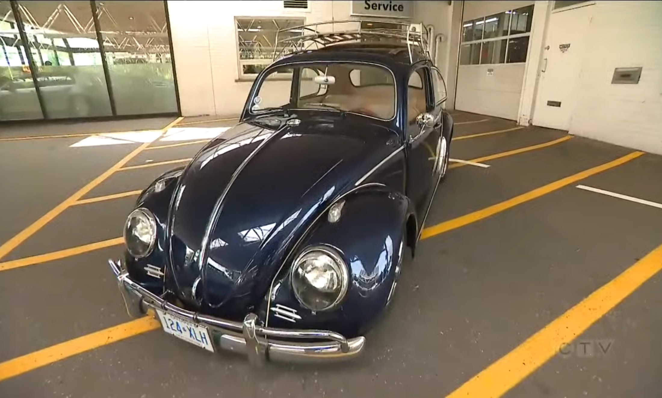 Beetle