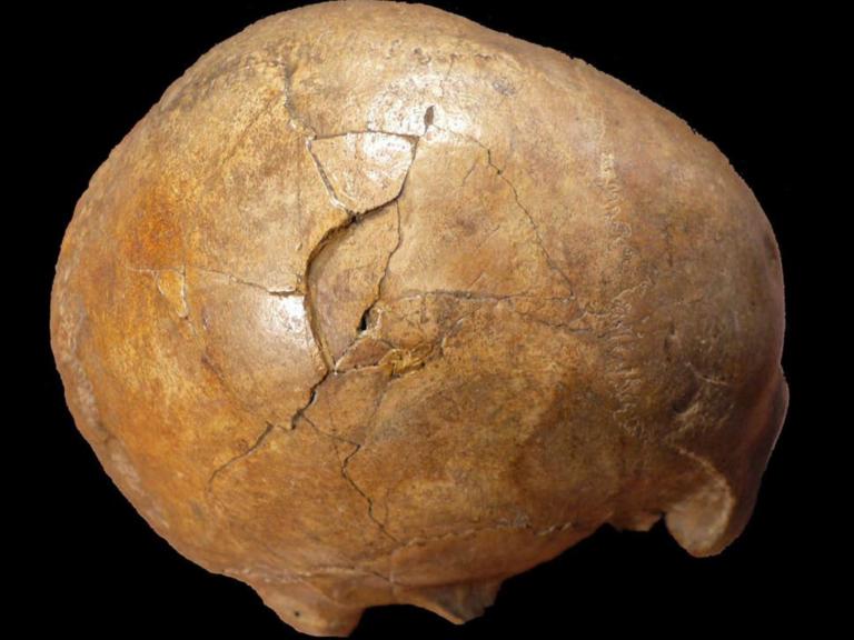 Ελληνίδες επιστήμονες «εξιχνίασαν» δολοφονία που έγινε πριν από 33.000 χρόνια!