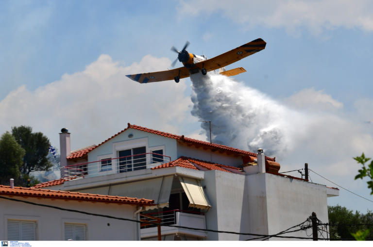 Φωτιά Ναύπλιο: Υπό μερικό έλεγχο η πυρκαγιά στα Κουτσούρια [pics]