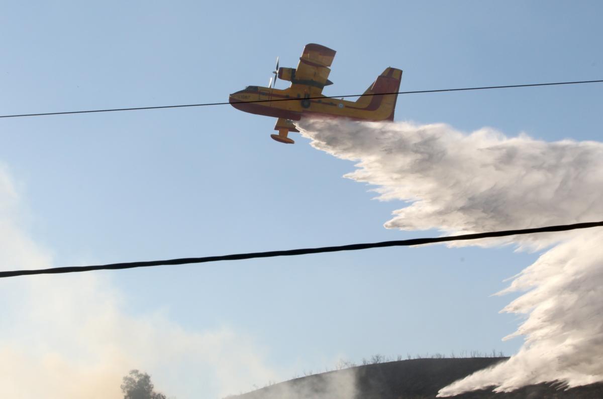 Φωτιά τώρα στην Εύβοια – Μεγάλη κινητοποίηση της Πυροσβεστικής