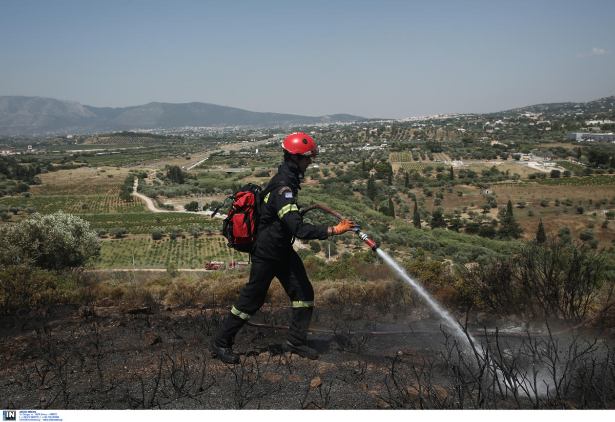 Κορινθία: Φωτιά σε εργοστάσιο χαρτοποιίας