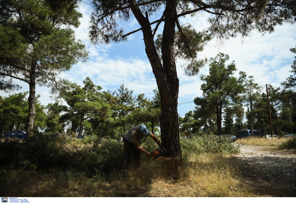 Σέιχ Σου: Δε θα κηρυχθεί σε κατάσταση έκτακτης ανάγκης