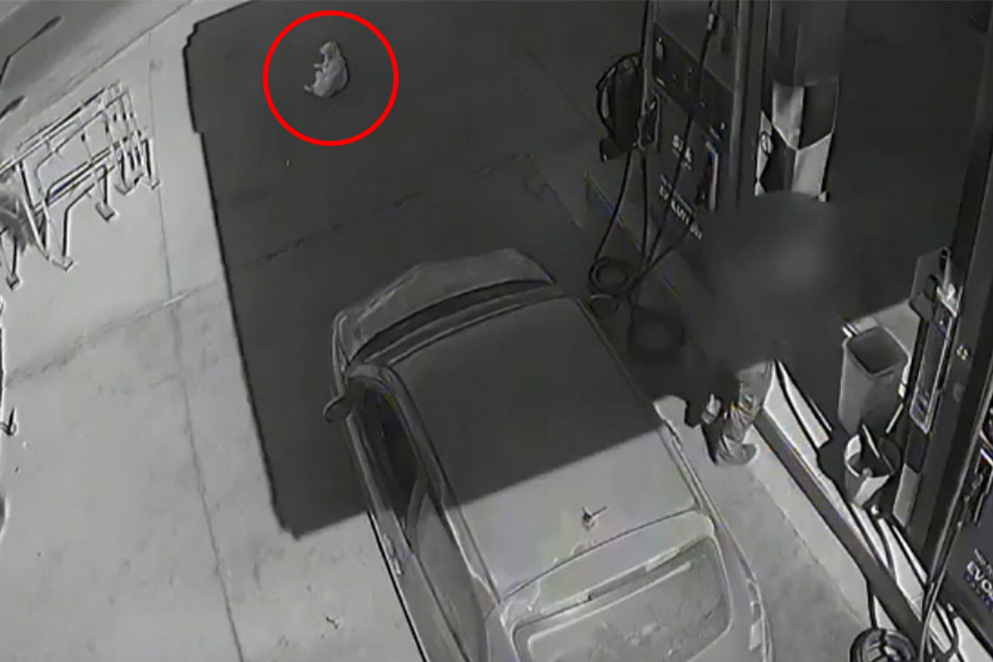 Χανιά: Η στιγμή που αυτοκίνητο πατάει και σκοτώνει σκύλο σε βενζινάδικο – Οργή για την οδηγό – video