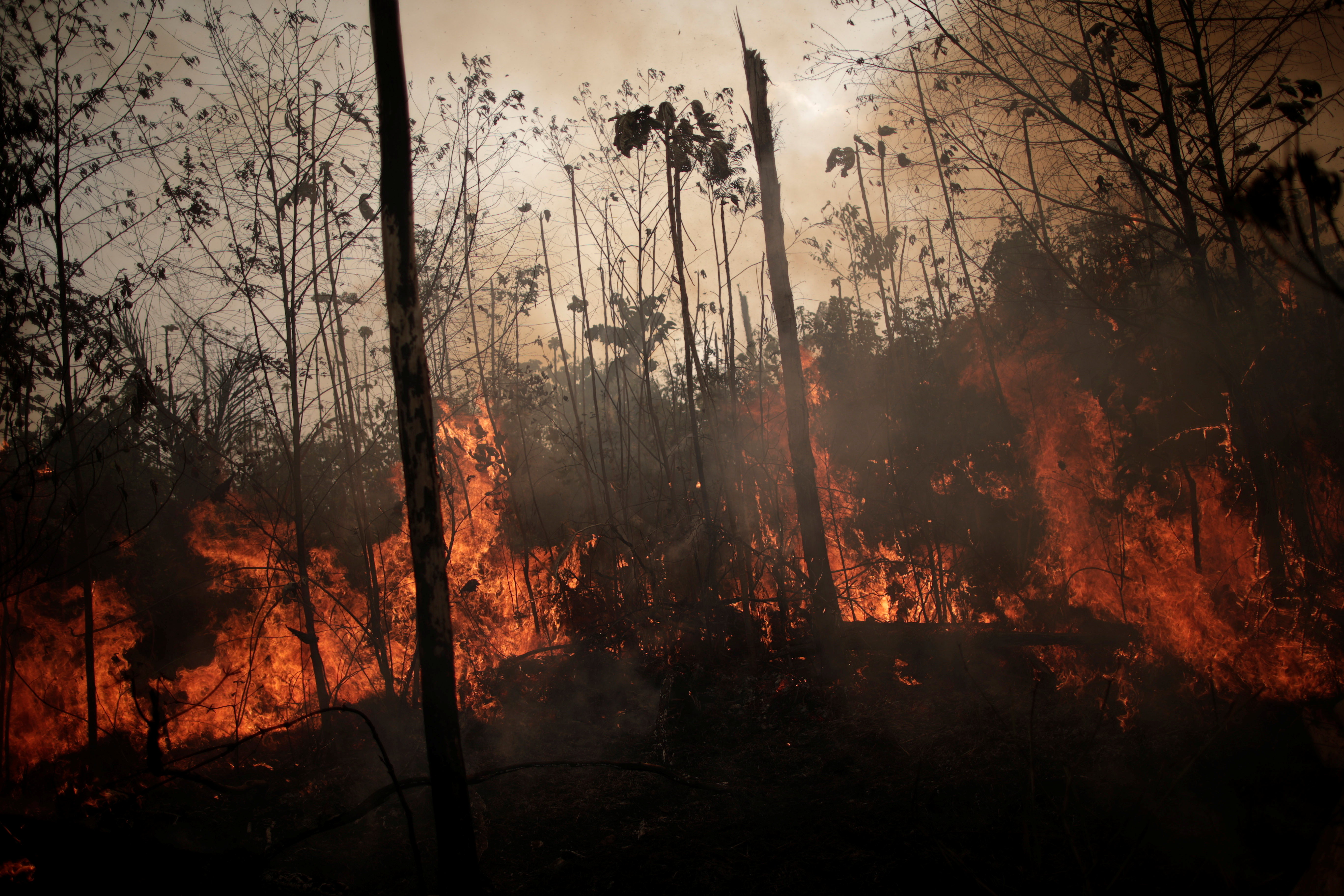 Αμαζόνιος: Οι ινδιάνοι κατηγορούν Μπολσονάρο για τη φωτιά