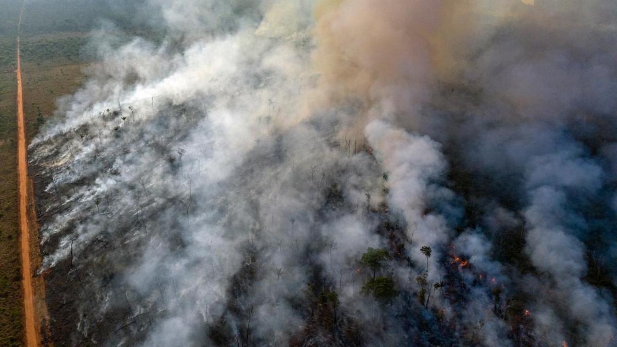 Πυρκαγιές στον Αμαζόνιο: Το πήραν επιτέλους απόφαση στη Βραζιλία και κινητοποιούνται