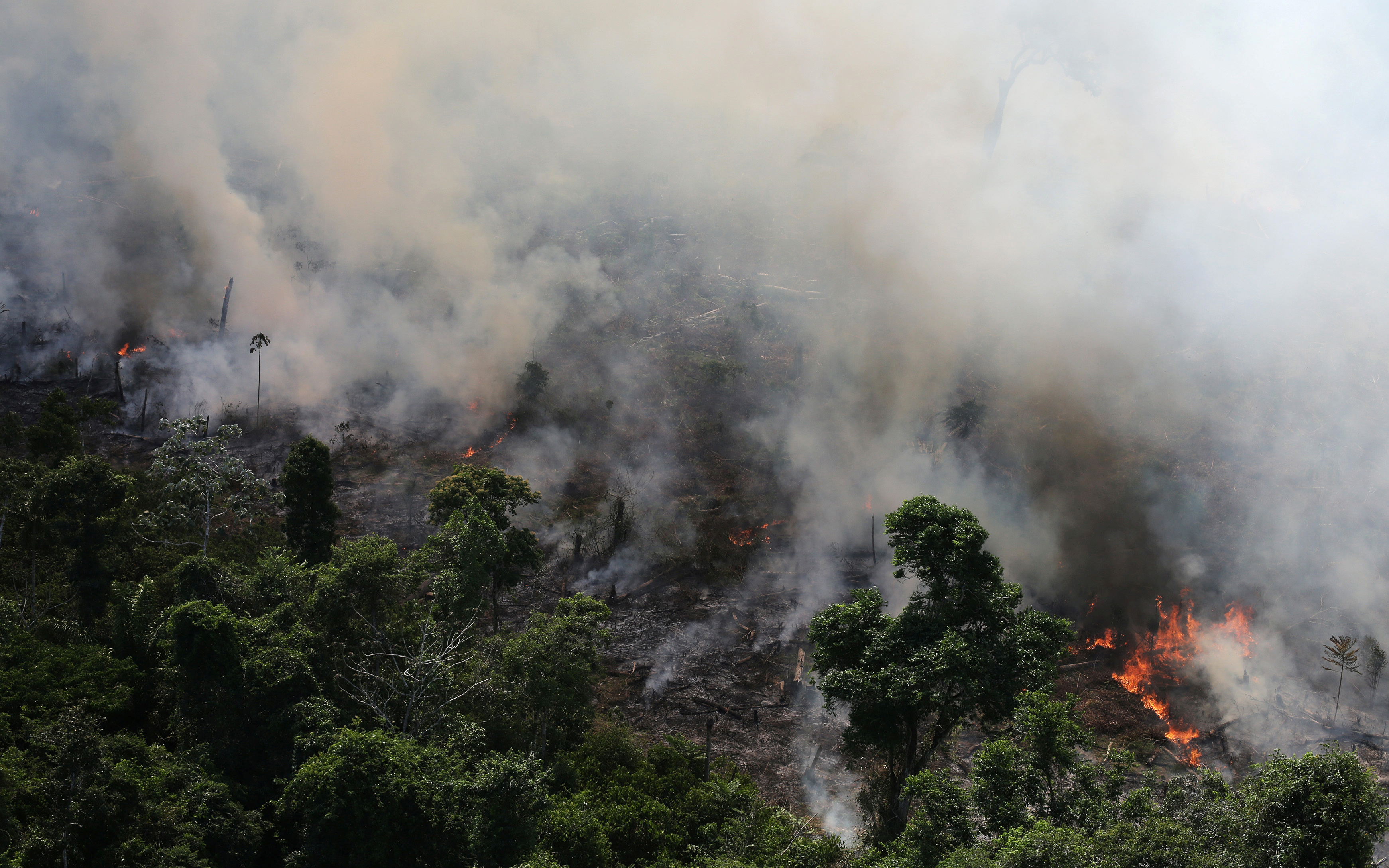 Ο Αμαζόνιος φλέγεται! Συγκλονιστικές εικόνες από την τεράστια οικολογική καταστροφή!