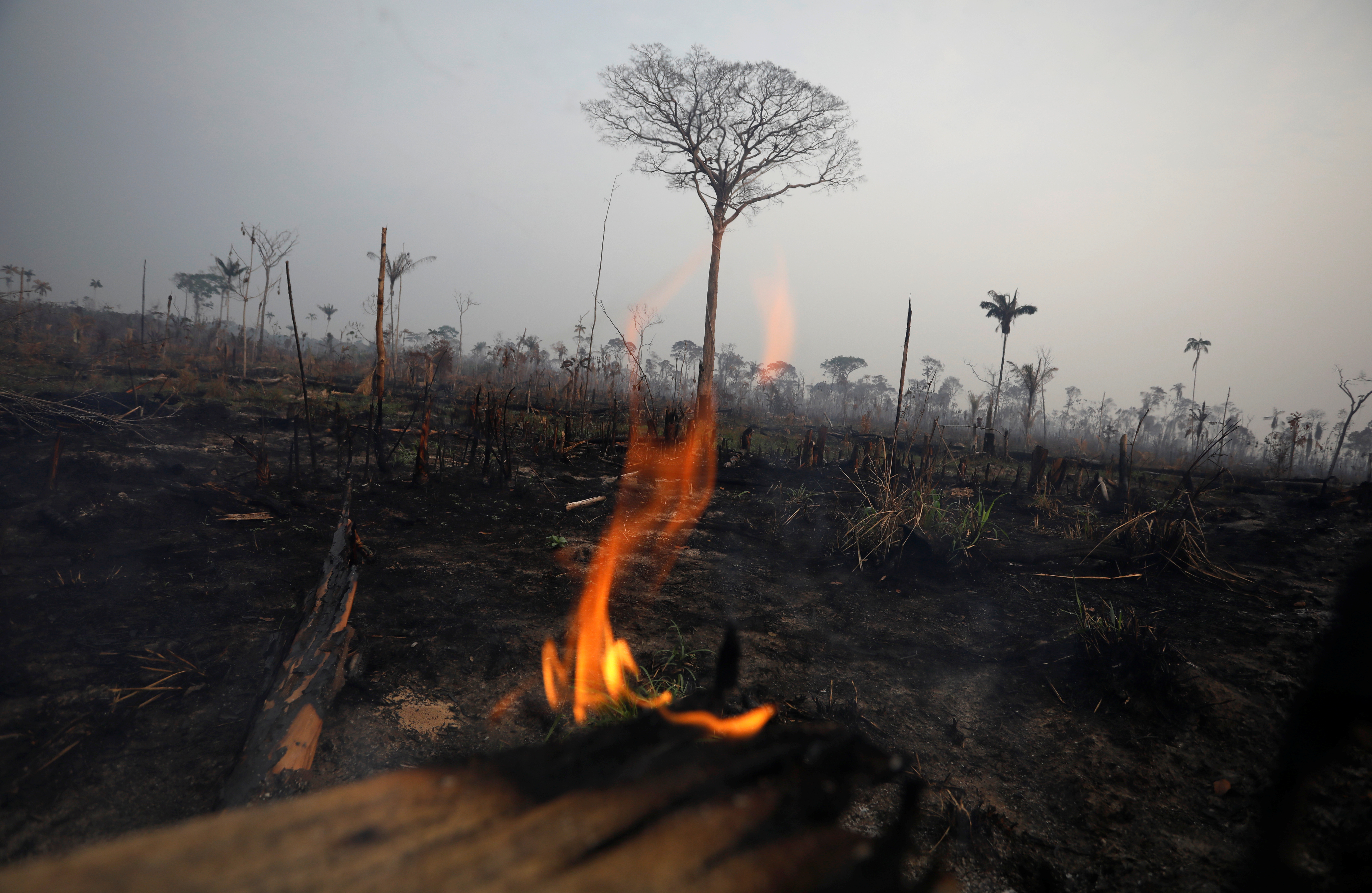Βραζιλία: «Δεν υπάρχει συνεργασία με τις ΗΠΑ για την κατάσβεση των πυρκαγιών»