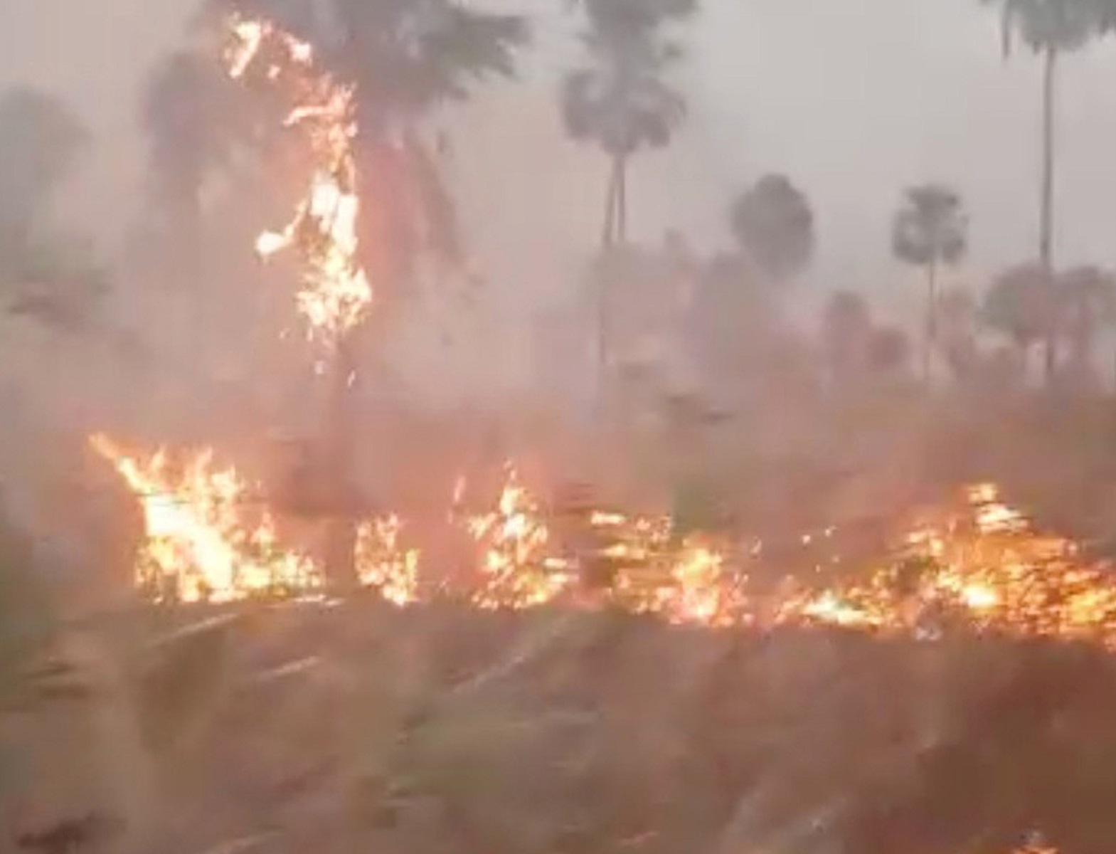 Καταστροφή! 9.500.000 στρέμματα έχουν καεί στην Βολιβία