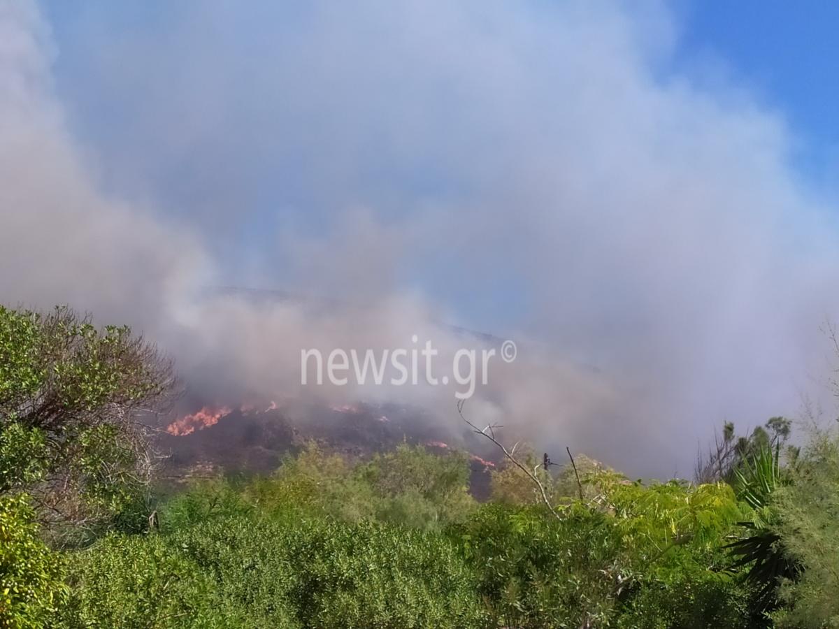 Δύσκολη μάχη με τις φλόγες στην Ελαφόνησο! Η φωτιά πέρασε μέσα από σπίτια - Εκκενώθηκαν κάμπινγκ και ξενοδοχεία