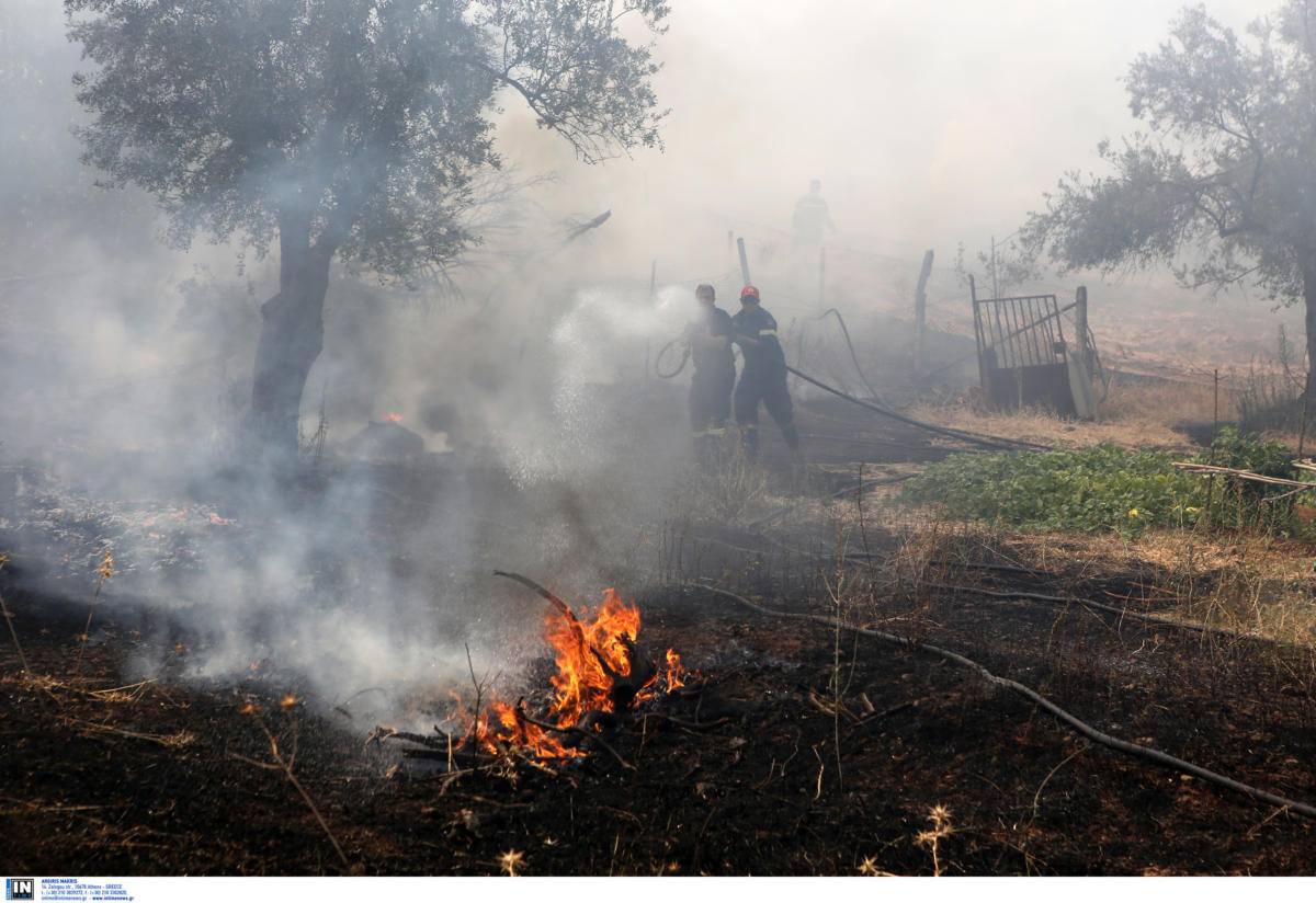 Σκέψεις για αλλαγές στον ποινικό κώδικα για τον εμπρησμό