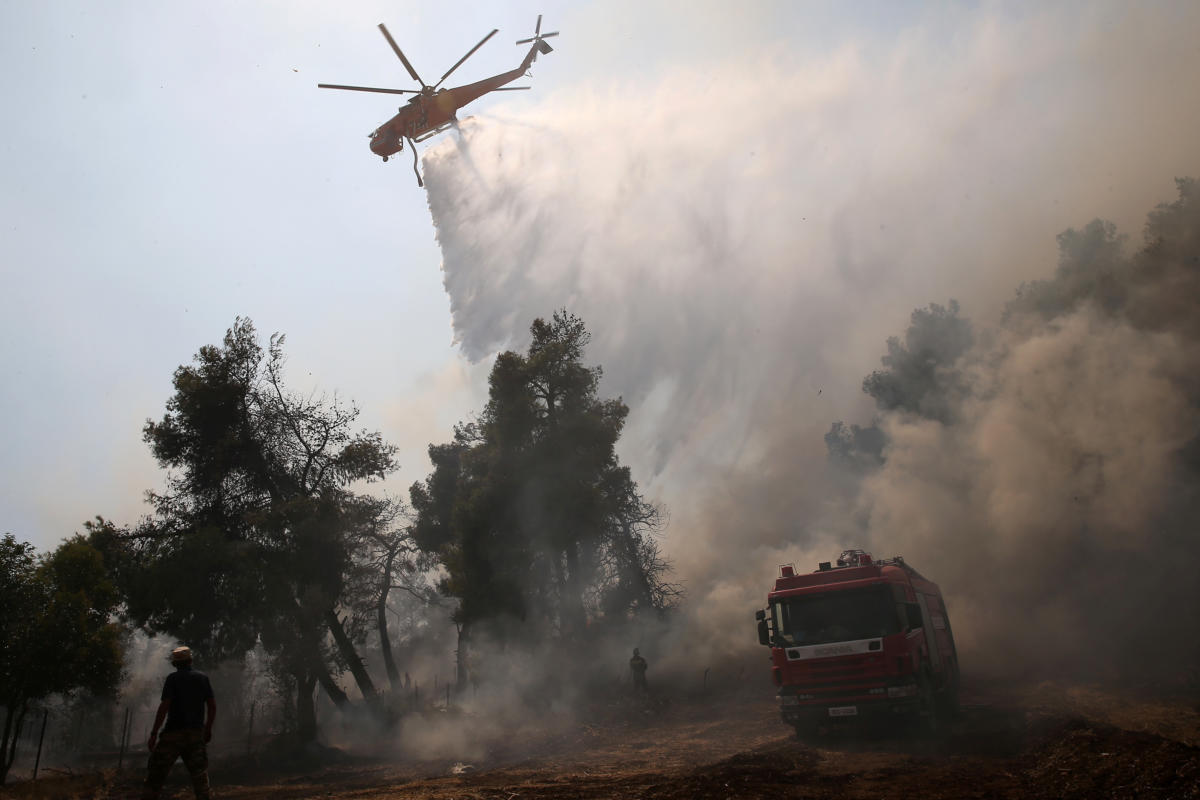 Κι άλλη φωτιά! Στις φλόγες δασική έκταση στον Έβρο