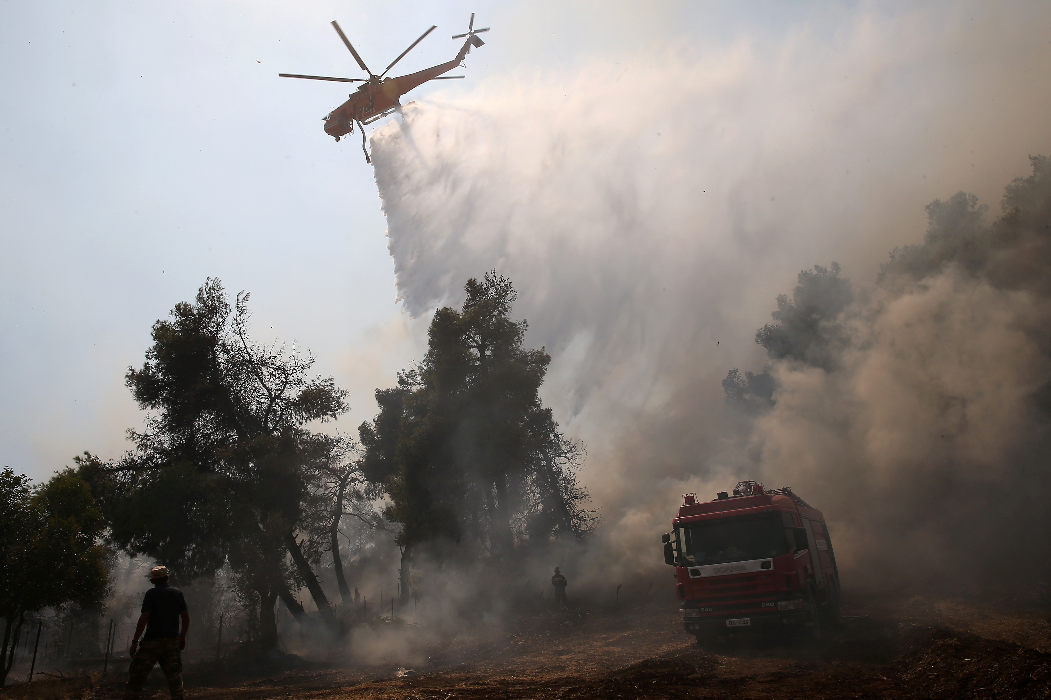 Κι άλλη φωτιά! Στις φλόγες δασική έκταση στον Έβρο